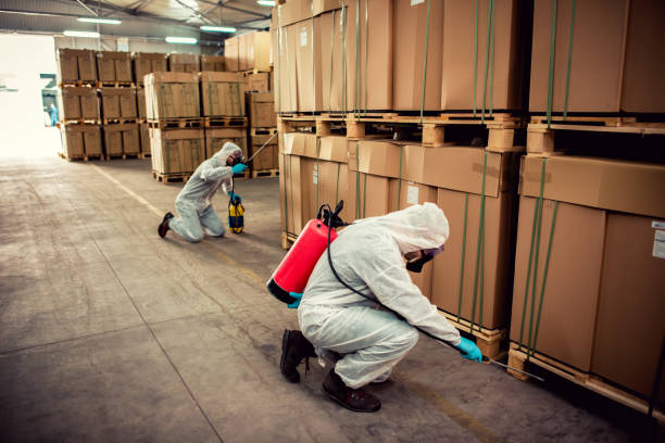 Best Wasp Removal Services  in Pembroke Park, FL