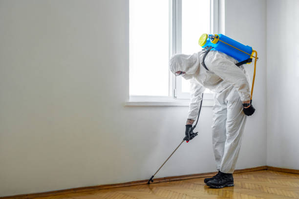 Best Local Pest Control Services  in Pembroke Park, FL