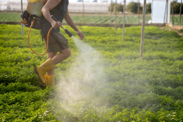 Reliable Pembroke Park, FL Pest Control Solutions