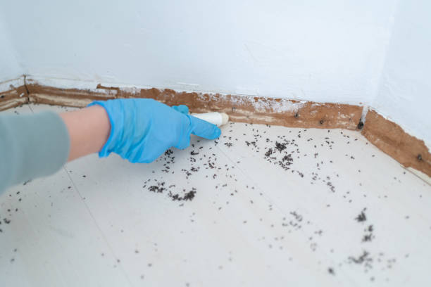 Best Commercial Pest Control Services  in Pembroke Park, FL