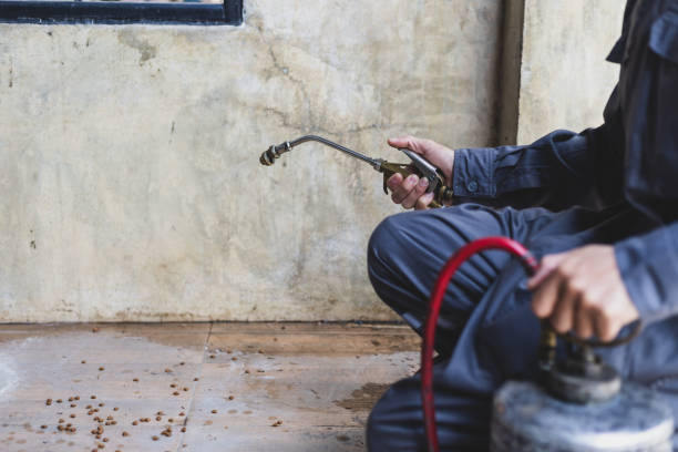Best Affordable Pest Control Services  in Pembroke Park, FL